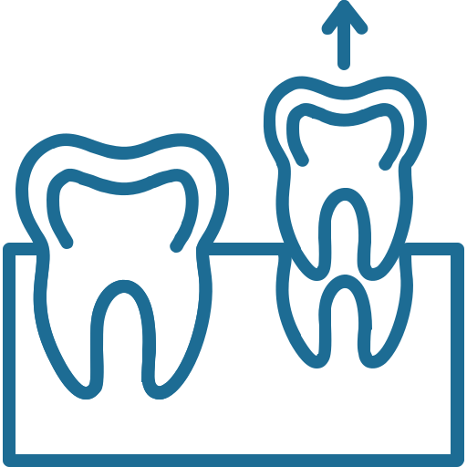Wisdom Teeth